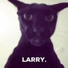 lia_ghaiby07