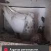 laura.suarez235