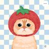 auliaa_stobery