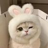 annie_yan772
