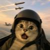 Echoes of Purr
