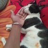 md.abdul.ajij35