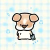 danghongluan29_6
