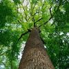themindsetmanual7