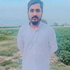 aliahmadaliahmad768