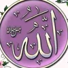 habib046230055