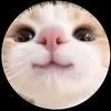 dhaiiiiii6