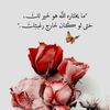 rezgui.houda6