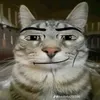 tdat9r_sigma