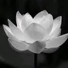 chanh.vo.trung