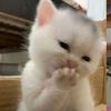 batogorkuah.sukabgttt