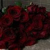 .ana.jasmin