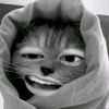 sirin_0t7