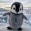 dywall_