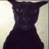 maroo_1548