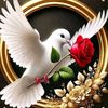 user7384085042515