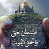 user21228055003314