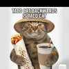 tacocattacatcat