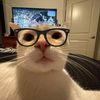 menny_56