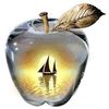 apple_vxr