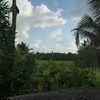 damayanthi.sunima