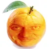 godocome3