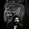 user5211342002947