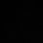petraleotiti.6