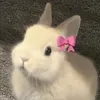 _julia_4486