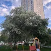 zxc34224