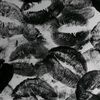 shmara_49