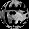 sohan_lmnr