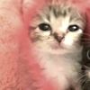 teamomelaniemartinez0