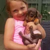 jess_rob4