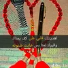 user513878530088