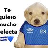 luis_xd2347