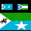 naciima_1_1_4_nn
