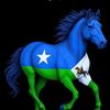 nacuumi.309_waqooyi_bari