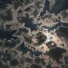 ★★★★★