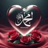 shamsudin_j