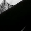 samari_tha0