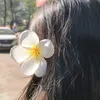 najah3630
