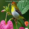 user5430719469481