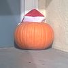 pumpkins_in_december