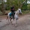 francisco.ruiz4529