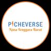 picheverse.ntb
