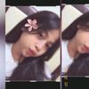 alya_stecu
