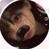 fan_thp_cm