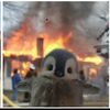 penguin2061