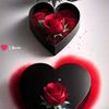 user3127492677511